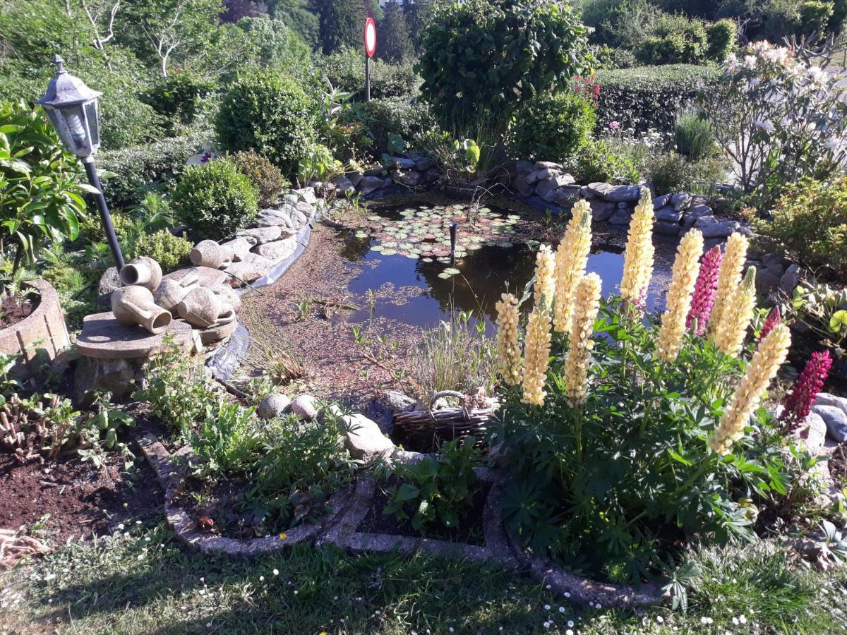 Studio Au Jardin Fleuri Вервиерс Екстериор снимка