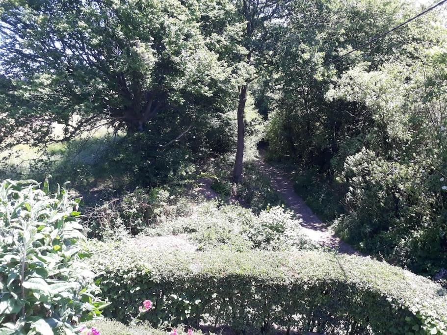 Studio Au Jardin Fleuri Вервиерс Екстериор снимка